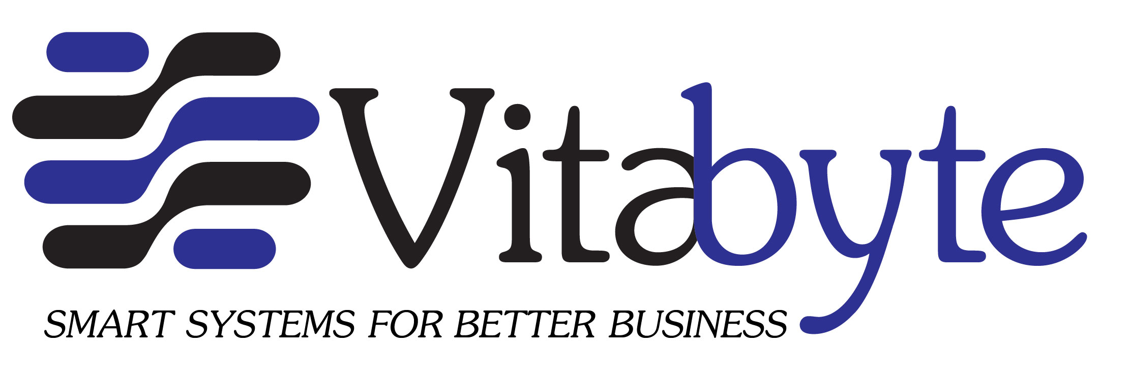 Vitabyte Inc.