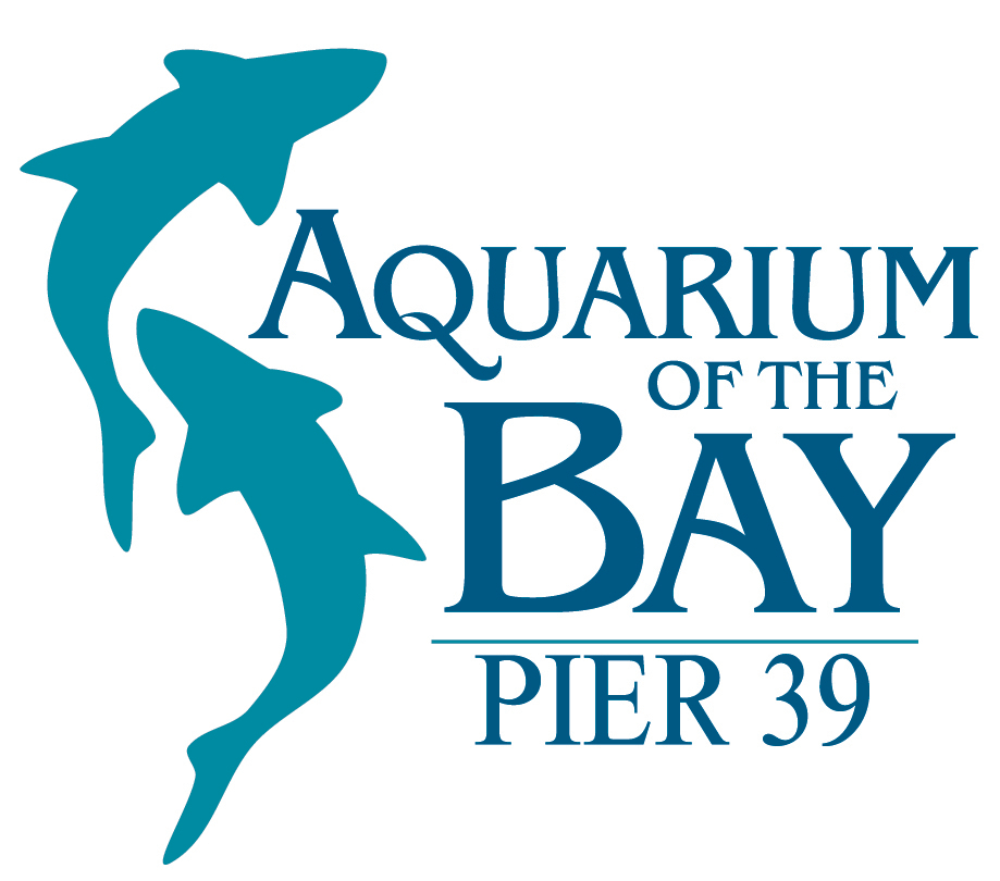 Aquarium of the Bay