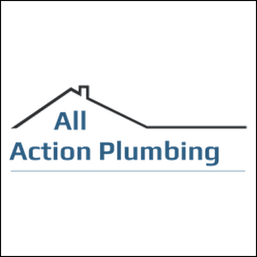All Action Plumbing and Drain Llc